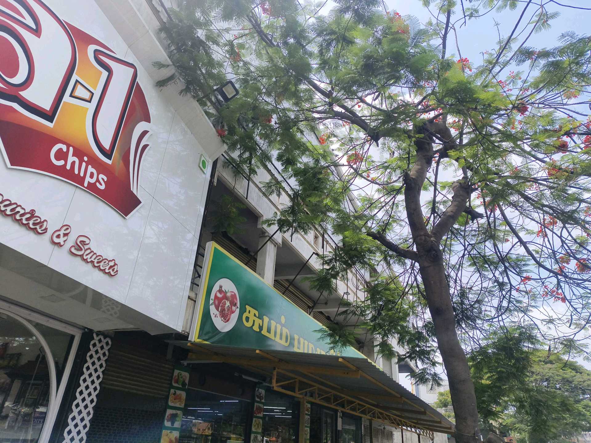 SUBAM PAZHAMUDHUR NILAYAM-Ganapathi