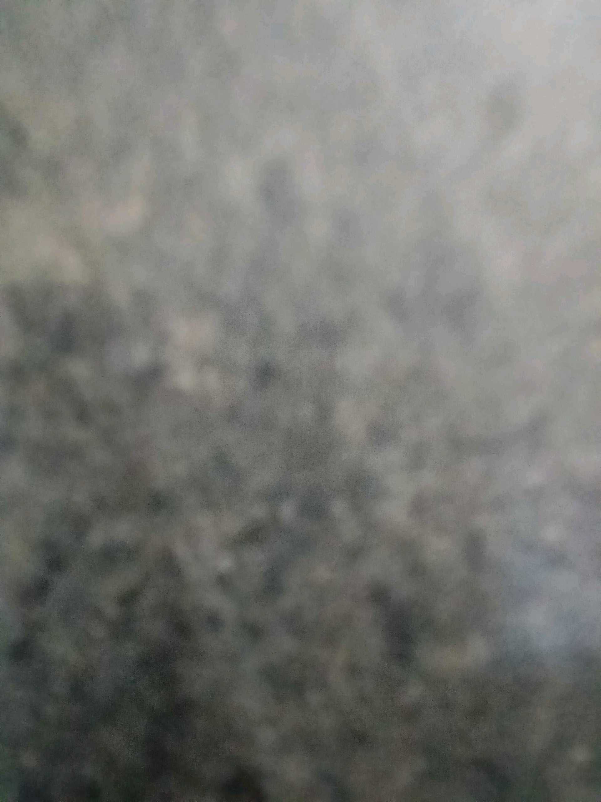 PASUMAI PHARMACIES INDIA PRIVATE LIMITED